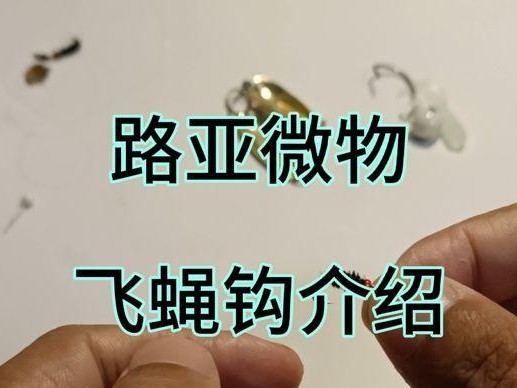探究路亚钓鱼换钩技巧（提高路亚钓鱼效果的实用技术与方法）