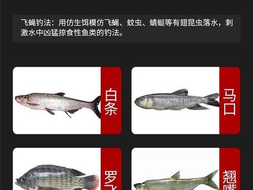 玩转路亚毒蚊钓鱼技巧全解析（掌握路亚毒蚊的使用方法，成为钓鱼高手）