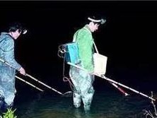 路亚钓鱼是否会被禁渔？（探讨路亚钓鱼对渔业资源的影响）