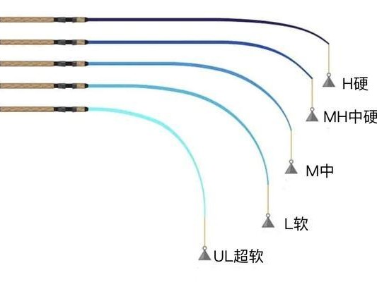 技巧分享（精益求精，打造高效鱼具携带系统）