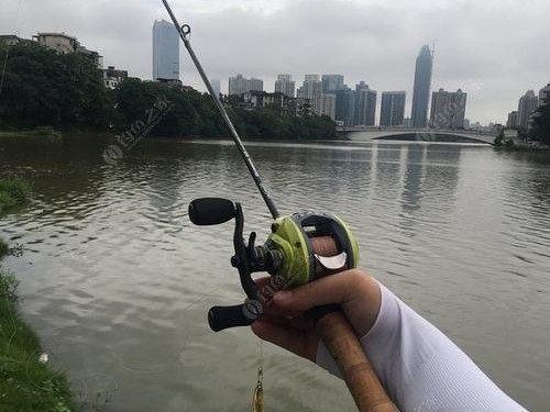 选择适合钓鱼水域的路亚竿（如何根据水域条件选择最佳路亚竿）