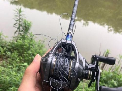 多用路亚竿钓鱼的技巧与经验分享（提高钓鱼效果的关键技巧和选择正确亚种的方法）
