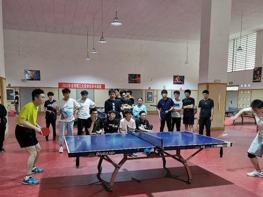 高校乒乓球比赛技巧与方法（提升乒乓球比赛水平的关键技巧和训练方法）