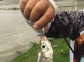 路亚钓鱼的最佳时间选择（以下午钓鱼开始的关键时刻）
