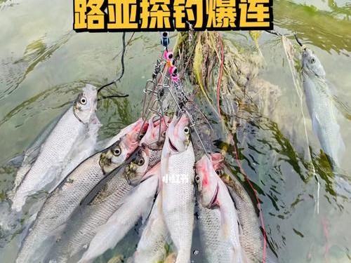 四月路亚钓鱼的必备技巧（探讨四月路亚钓鱼的最佳时间、钓点和装备选择）