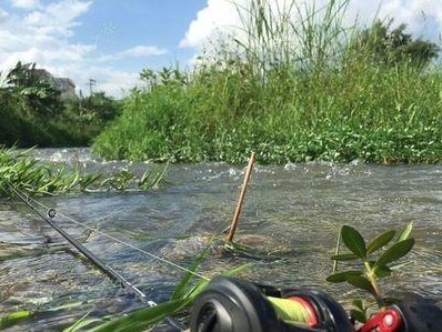 江边桥洞的路亚钓鱼技巧与心得（探索在江边桥洞使用路亚钓鱼的秘诀，助您钓到满满的收获！）