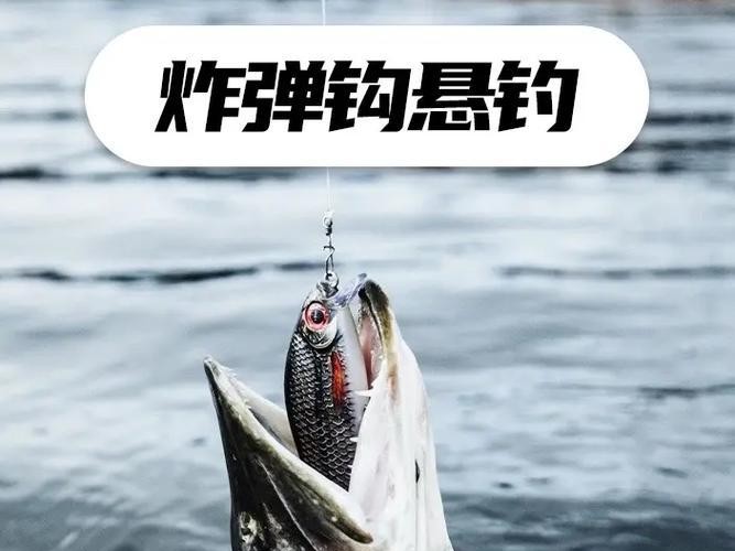 选择路亚钓鱼竿（探讨路亚钓鱼竿的长度对钓鱼效果的影响）