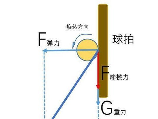 乒乓球教学（击败对手，驾驭球路，下旋球一统江湖）