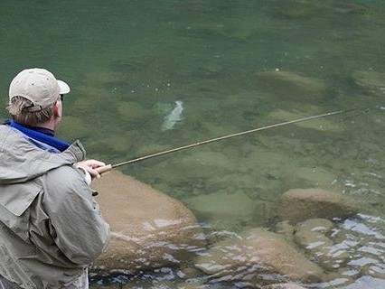 白天11点路亚钓鱼技巧大揭秘（探寻白天11点最佳路亚钓鱼时间、饵料和技巧）