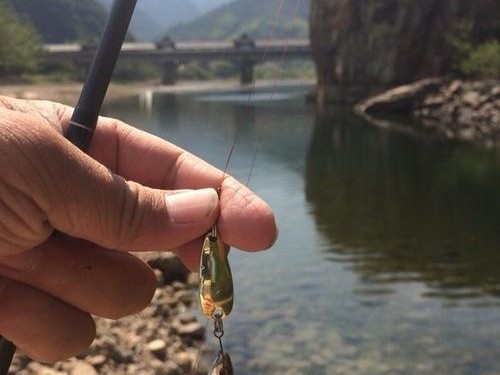 探究最佳路亚钓鱼时机（选择合适时间获得丰收捕鱼体验）