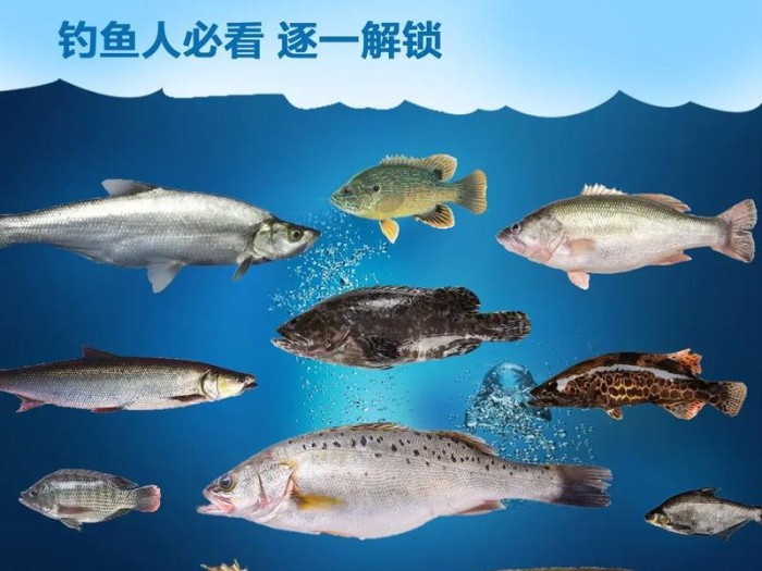 路亚钓鱼技巧与方法大全（探索路亚竿钓鱼的绝佳捕鱼技巧与经验分享）