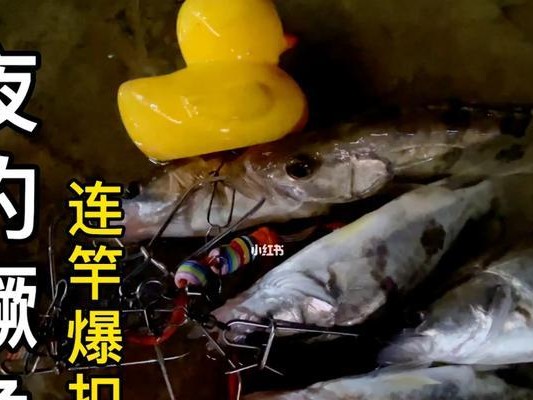 晚上下雨用路亚钓鱼的技巧（利用天气和技术在晚上下雨时成功钓鱼的关键）