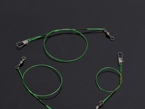 以钓鱼子线能用路亚前导线吗？（探讨钓鱼子线是否适用于路亚前导线的使用场景）