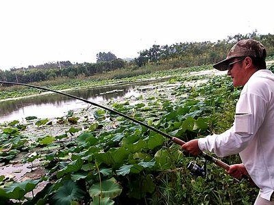洪泽湖钓鱼之最佳路亚地点（探寻洪泽湖中的丰鱼之地）