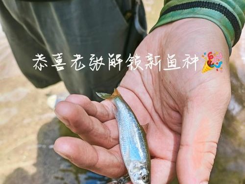 山间溪流的路亚钓鱼乐趣（探索山间溪流中的钓鱼乐园）