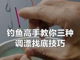 探索底调漂技巧的路亚钓鱼之道（以路亚钓鱼为基础，如何准确找到底调漂？）