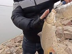 在黄河畔尽情畅玩路亚钓鱼的乐趣（探寻黄河鱼群的秘密，挑战路亚钓鱼技巧）