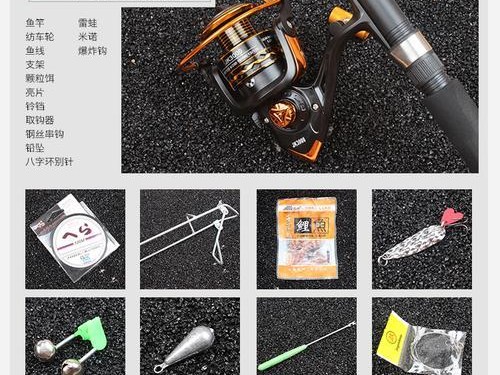 掌握路亚技巧，让你的扔鱼更准确（以路亚竿钓鱼的技巧和要点详解）