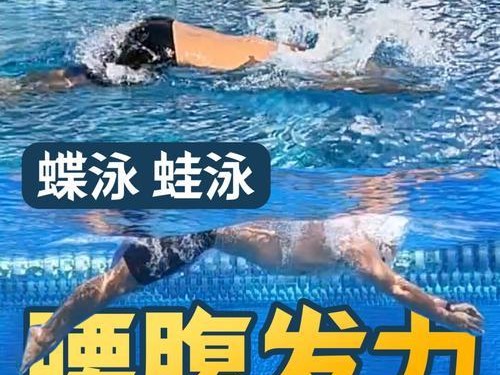 野外引水游泳技巧教案设计（掌握正确的游泳技巧，享受安全的野外游泳乐趣）