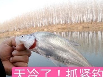冬天来临，路亚钓鱼依旧精彩（寒冷并不能阻止路亚钓鱼的乐趣）