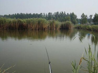 微山湖路亚钓鱼指南（探索微山湖湖区的路亚钓鱼乐趣）