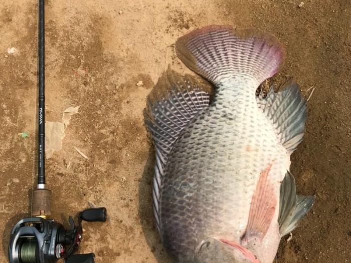 钓鱼之路（钓鱼爱好者逐渐转向路亚钓法的关键原因）