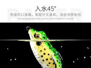 路亚钓鱼的最佳气温选择（钓鱼大师教你根据气温选择黑饵，提高钓鱼成功率）