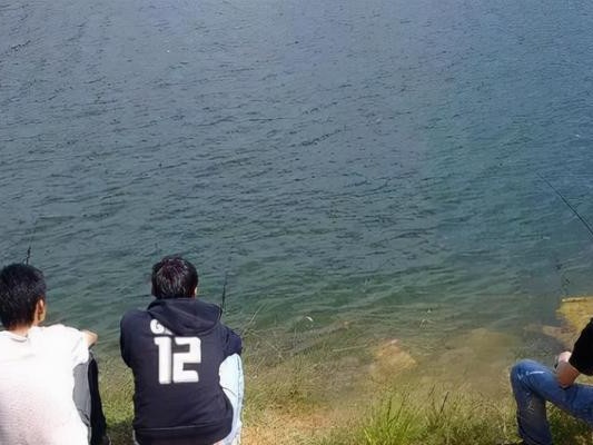 海边打路亚钓鱼的技巧与乐趣（探索海滨世界，尽情享受路亚钓鱼乐趣）