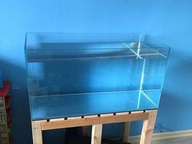 用路亚竿钓鱼用水缸做鱼缸，快速DIY养鱼新方式（以空闲的水缸打造个人化鱼缸，满足钓鱼爱好者的养鱼需求）
