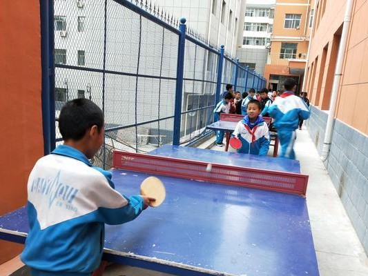 打乒乓球学习指南（快速掌握乒乓球技巧的关键）