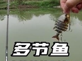 如何选择合适的路亚杆进行钓鱼（探索路亚杆的关键要素和技巧）