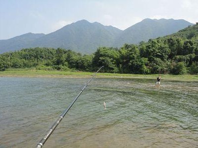 探寻宝安路亚钓鱼场周边精彩景点（追寻大自然的美妙，畅享钓鱼之乐）
