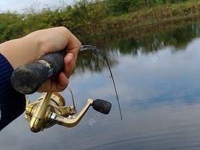 探索海竿打路亚钓鱼的奥秘（发现海竿的多功能性能与适用性）