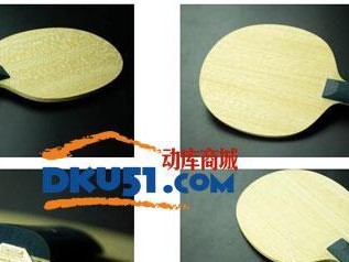 选择反手乒乓球底板的要素与技巧（提升技术水平的关键在于选择合适的反手乒乓球底板）