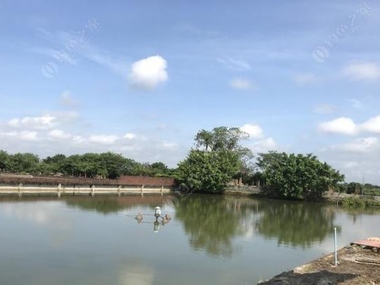 用路亚竿去鱼塘钓鱼的乐趣（体验不一样的钓鱼方式，路亚竿的魅力）
