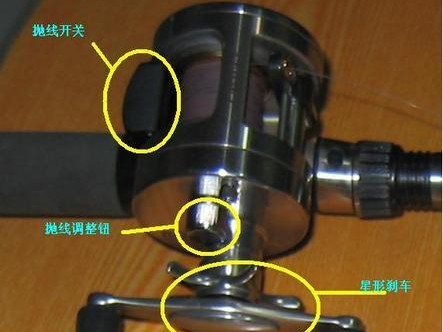 钓鱼路亚放枪的技巧与方法（掌握钓鱼路亚放枪，提升钓鱼技术水平）
