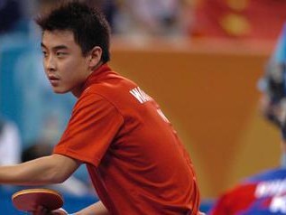 王皓乒乓球2013（回顾中国乒乓球选手王皓在2013年的辉煌表现与成就）
