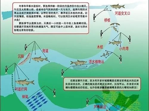 阴天钓鱼（探讨阴天钓鱼时使用深或浅路亚的优劣势，以提高钓鱼成功率）