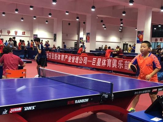 西安碑林区（探索中国乒乓球的发源地和繁荣景观）