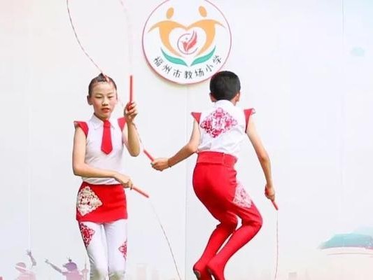 乒乓球与花样跳绳——优秀运动的代表（以身手技巧为独特之美的迷人竞技运动）