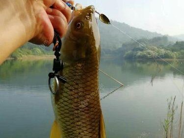 南淝河钓鱼天堂—路亚钓点推荐（探寻南淝河上最适合路亚钓法的绝佳钓点）