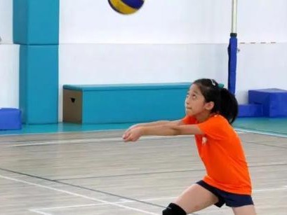 掌握排球换球手势动作要领的关键技巧（学习正确的手势动作，提升排球换球效率）