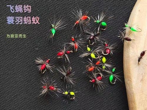 探讨路亚加飞蝇钩钓鱼技巧（提升钓鱼成功率的必备技巧）
