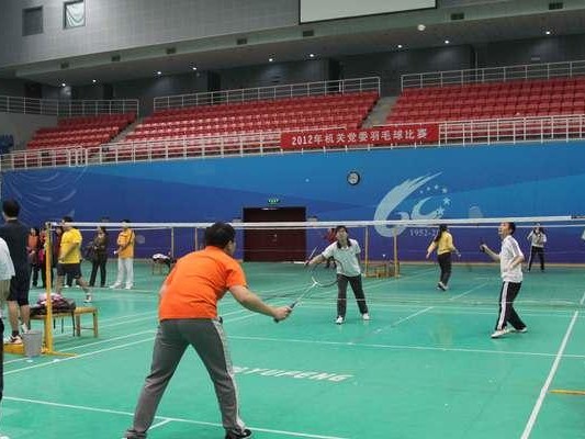 乒乓球羽毛球初学技巧教学指南（从零基础到高水平的技巧训练，助你成为乒乓球羽毛球高手）