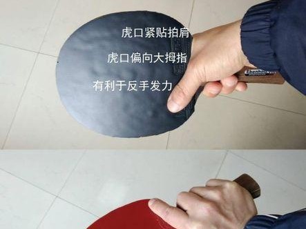 乒乓球握拍技巧初学者指南（掌握正确握拍姿势，迈向乒乓球高手之路）
