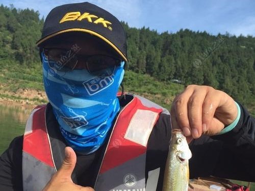 夏日路亚钓鱼的最佳时机（探索夏日路亚钓鱼的技巧与乐趣）