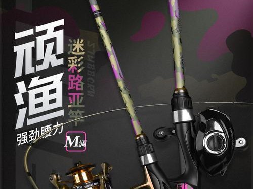 选择最适合路亚钓鱼的抛竿（挑选一根高质量抛竿让路亚钓鱼更加高效）